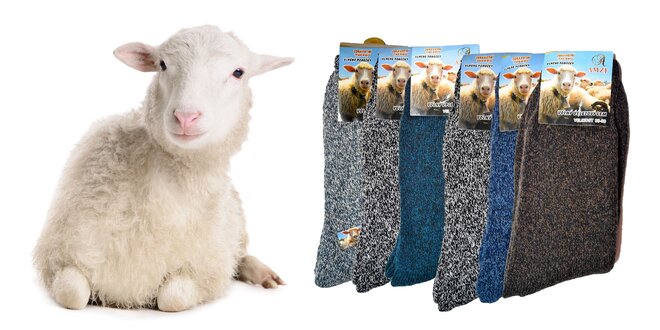 Ponožky z ovčej vlny pre dámy i pánov