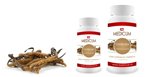 Kapsule Cordyceps sinensis
