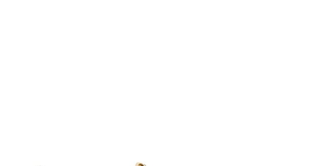 Dámske zlaté sandále Lise Lindvig s hnedou stielkou