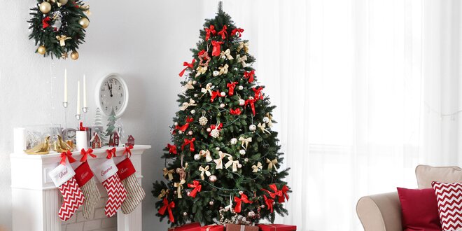 Jedľa kaukazská - živý a voňavý vianočný stromček