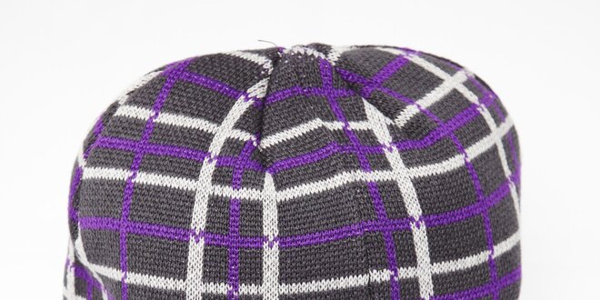 Pánska sivá beanie čiapka Dickies s fialovo-bielymi pruhmi