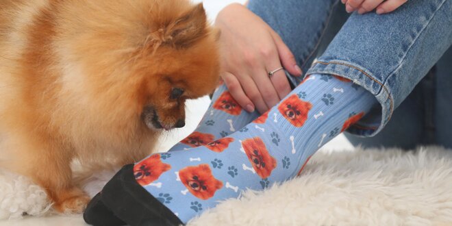 PupSocks: ponožky s fotkou vášho domáceho miláčika