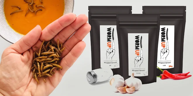 Chrumkavé červíky WormUP: slané, chilli aj kari