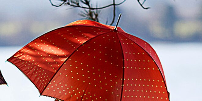 Dámsky oranžový dáždnik s bodkami Alvarez Romanelli