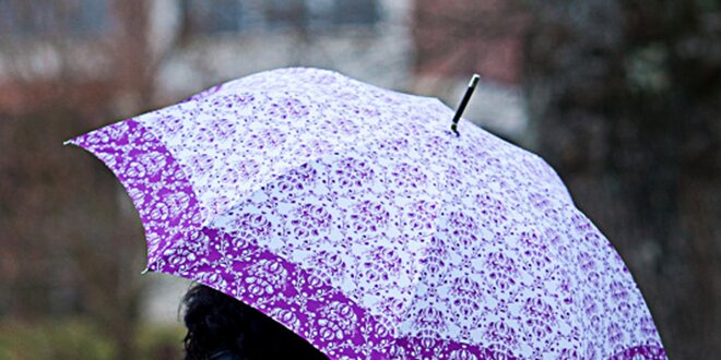 Dámsky dáždnik s vintage fialovým vzorom Alvarez Romanelli