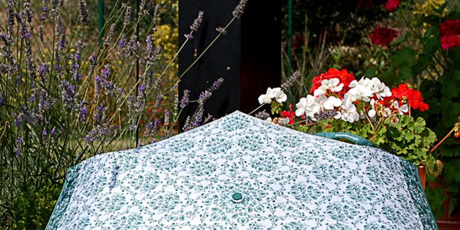 Dámsky dáždnik so vzorom Alvarez Romanelli zelený