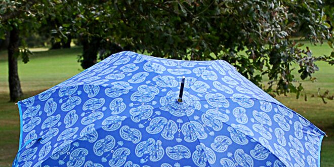 Dámsky blankytne modrý dáždnik Alvarez Romanelli s bielou vzorkou