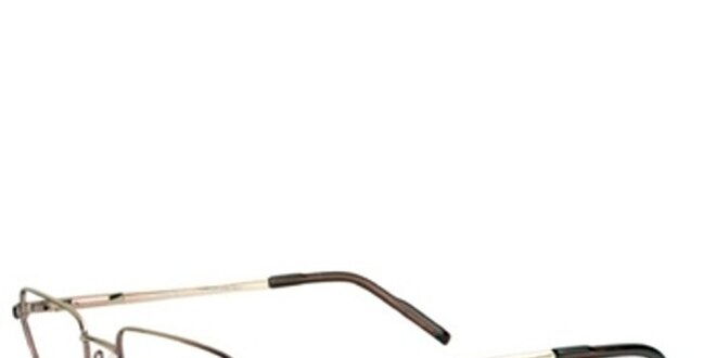 Pánske zlato-hnedé kovové okuliare Emporio Armani