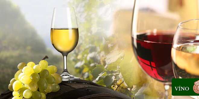 Vína Chardonnay alebo Lipovina od Matyšáka