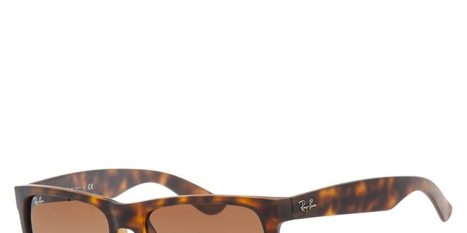 Žíhané slnečné okuliare s plastovými obrubami Ray-Ban
