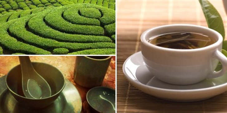 1,17 Eur za čaj z jarného zberu v Indii, Nepále alebo v Číne. Príďte okúsiť chuť Ázie v čajovni CHAY ROOM so zľavou 61%