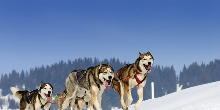 Ski a Relax pobyt pre 2 osoby s najkrajším výhľadom na Donovaly