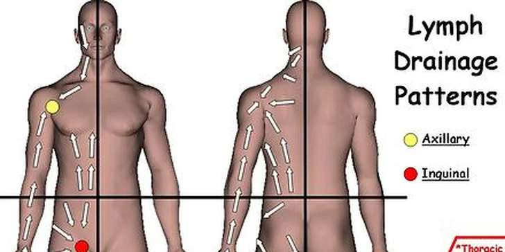 Klasická masáž chrbta a šije, reflexná masáž chodidiel alebo manuálna lymfodrenáž