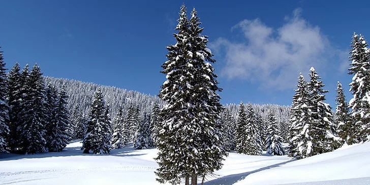 Lyžovanie v Dolomitoch - skipas aj ubytovanie