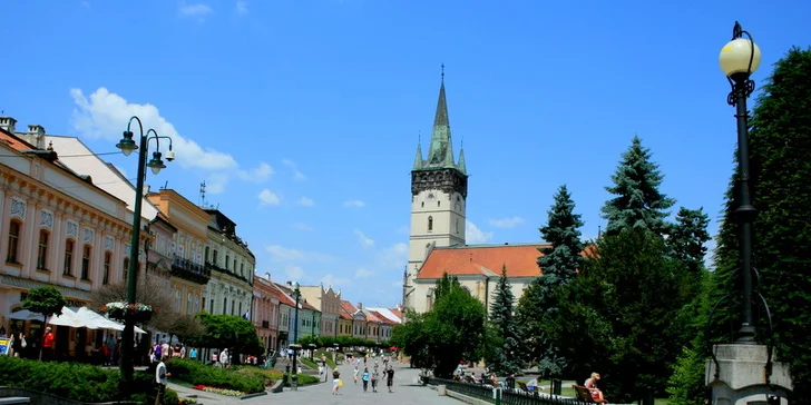 Antinikotínová terapia BICOM PREŠOV