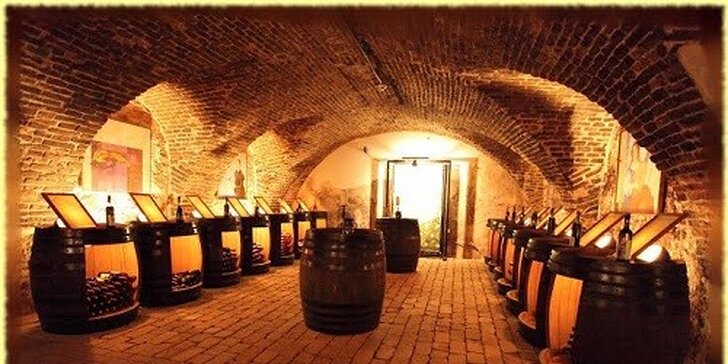 Vinársky pobyt spojený s ochutnávkou vín v Pezinskom zámku