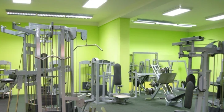 Vstupy do Fitness European Fit