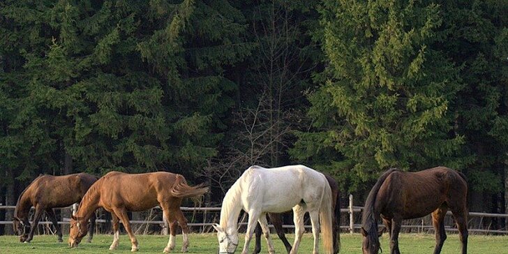 Oravská dovolenka na ranči, s jazdou na koni a ďalšími aktivitami