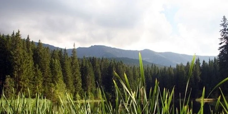 Rodinná dovolenka v srdci Liptova