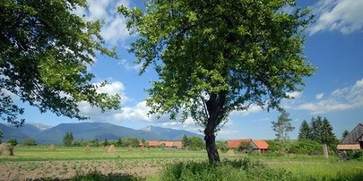 Rodinná dovolenka v srdci Liptova