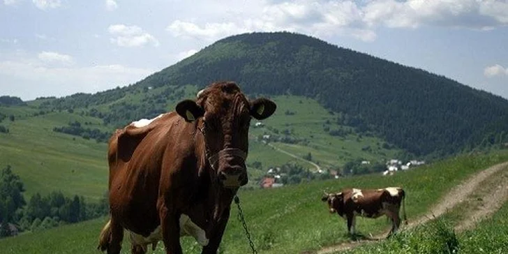 Chata pod Magurou v Zázrivej pre 2 osoby