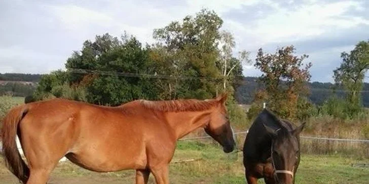 Jazda na koni s vychádzkou k Spišskému hradu