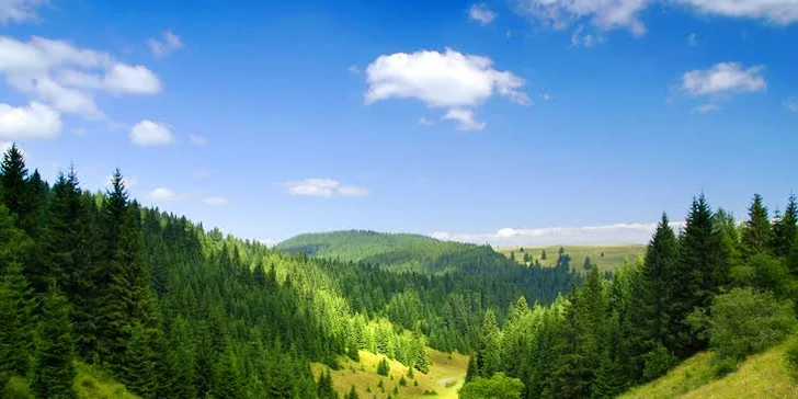 Rodinný pobyt s wellnessom v Nízkych Tatrách