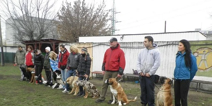 Výcvikový kurz pre vášho neposlušného psíka