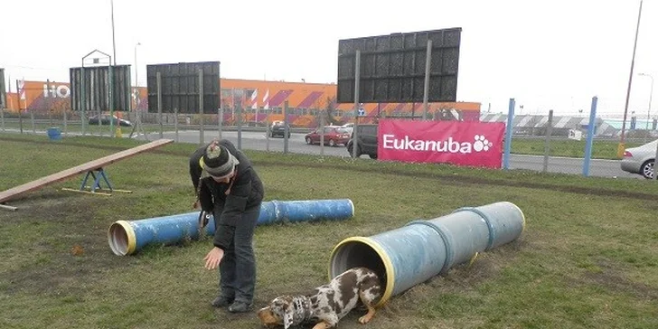 Výcvikový kurz pre vášho neposlušného psíka