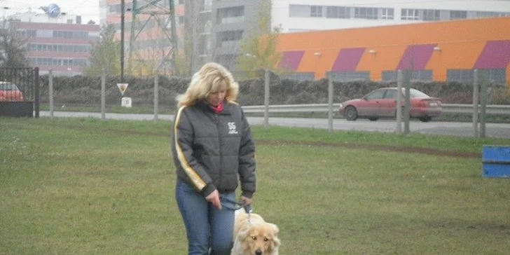 Výcvikový kurz pre vášho neposlušného psíka