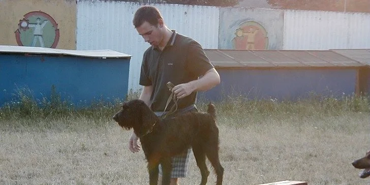 Výcvikový kurz pre vášho neposlušného psíka
