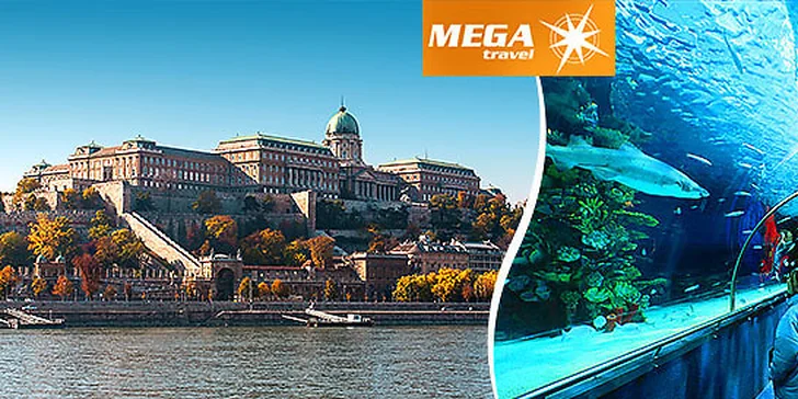Deň plný zážitkov - Budapešť, Tropicarium a ZOO