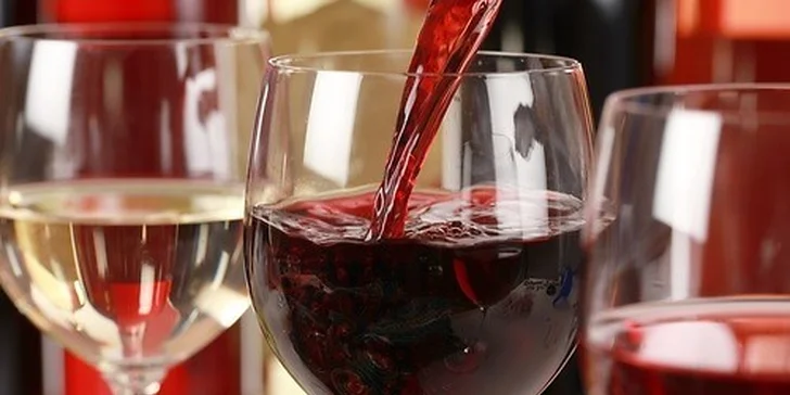 Vyberte si, čo ochutnáte! Degustácia mladých vín s občerstvením pre 2 osoby v centre mesta