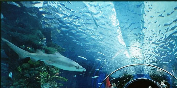 Deň plný zážitkov - Budapešť, Tropicarium a ZOO