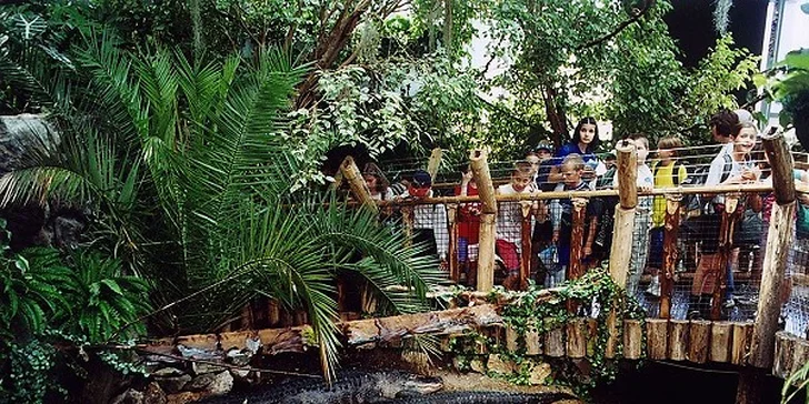Deň plný zážitkov - Budapešť, Tropicarium a ZOO