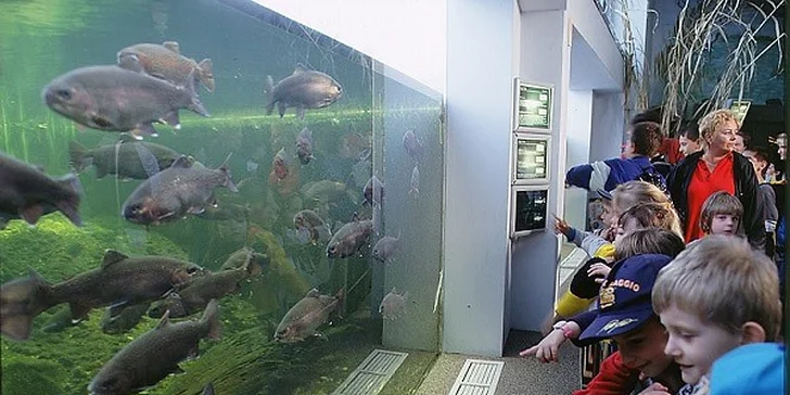 Deň plný zážitkov - Budapešť, Tropicarium a ZOO