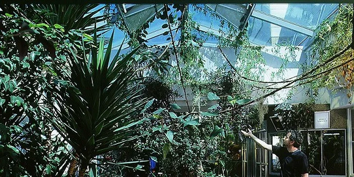 Deň plný zážitkov - Budapešť, Tropicarium a ZOO