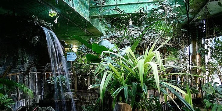 Deň plný zážitkov - Budapešť, Tropicarium a ZOO
