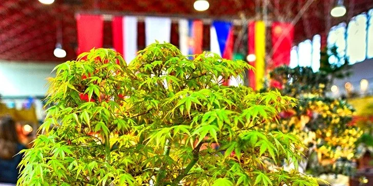 V záhrade ste ako doma - vstupenka na výstavu GARDENIA 2014
