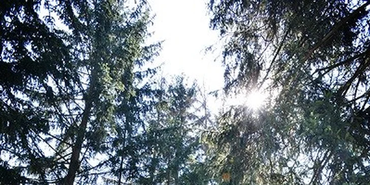 Božský wellness pobyt v 4* hoteli v Maďarsku