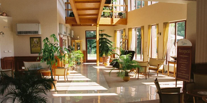 Wellness pobyt pri BA v hoteli DIAMANT**** Superior
