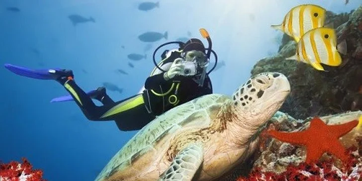 All Inclusive dovolenka v Egypte - letecky vrátane všetkých poplatkov