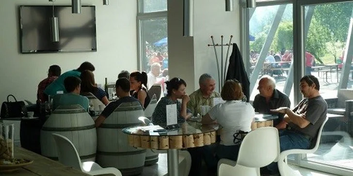 VIP vstup na 3. ročník Dni vína Movino