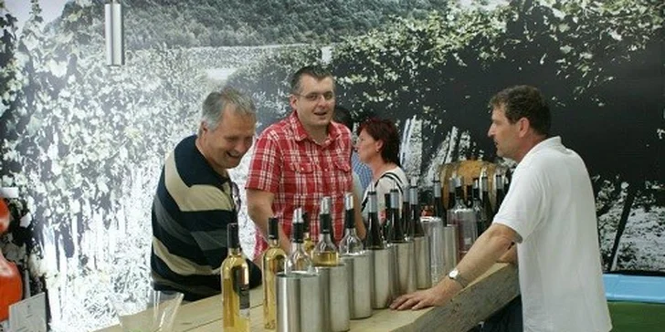VIP vstup na 3. ročník Dni vína Movino