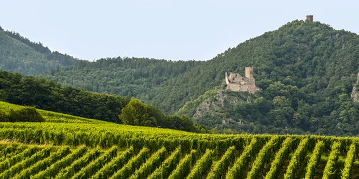 Dovolenka pre gurmánov a vinárov v Alsasku