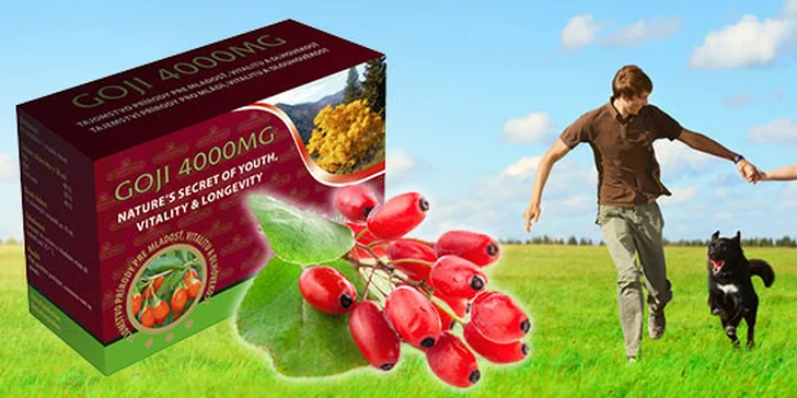 Nápoj vitality z ovocia Goji