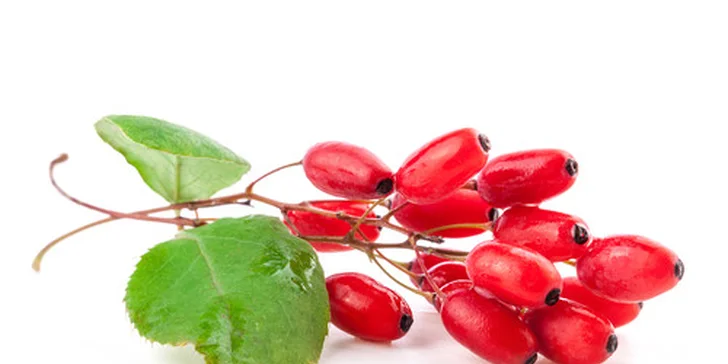 Nápoj vitality z ovocia Goji