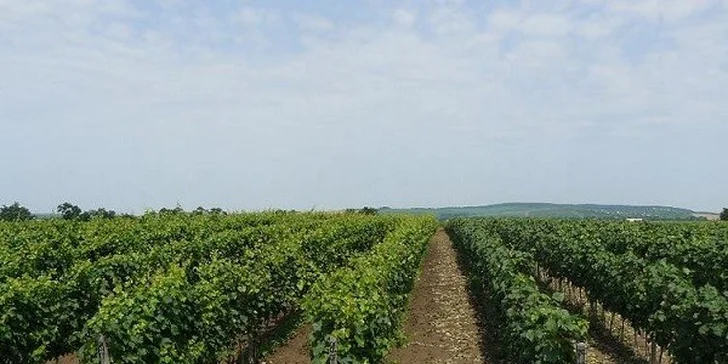 Relaxačná dovolenka pre pravých vinárov