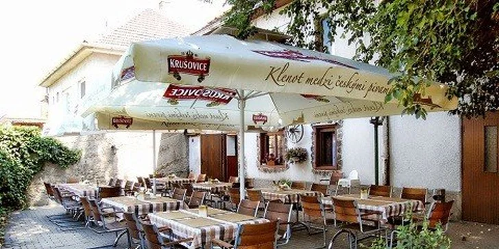 Kuracie krídelká a bravčové rebierka s chlebom a domácou marinádou