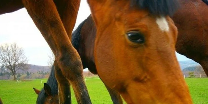 Wellness a agroturistika v atraktívnom horskom prostredí, až 2 deti za zvýhodnených podmienok